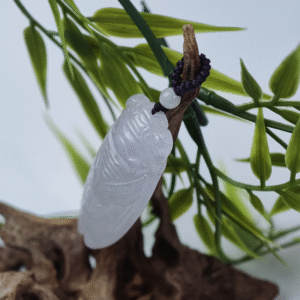 natural-jadeite-cicada-pendant-white-side